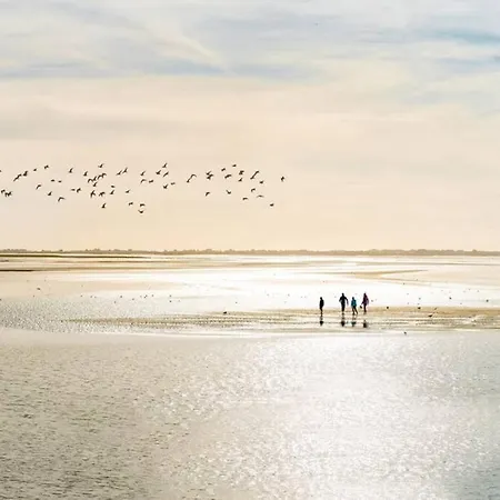 Holiday home Maison Famille-confort-terrasse Jardin-vue Cathedrale
